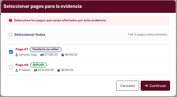 Modal Seleccionar Pagos Para Evidencia